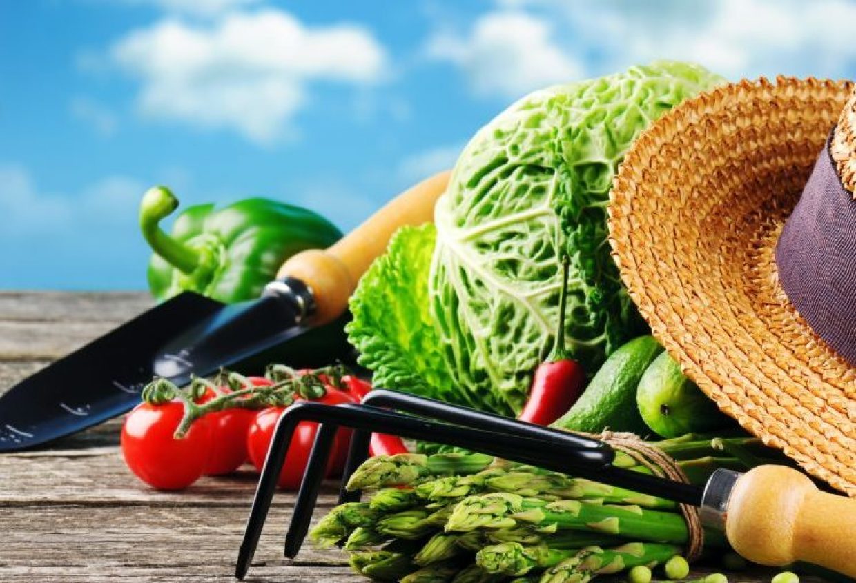 Ce legume îţi alimentează sănătatea în luna iunie?