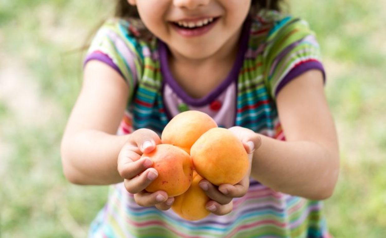 Fructul lunii iulie: CAISA